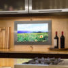 Séura Hydra Indoor Waterproof TVs