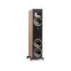 Martin Logan Motion F10