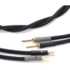 Gamma Speaker Cable