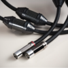 Shunyata Research Alpha-X XLR