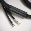 Shunyata Research Speaker Cable