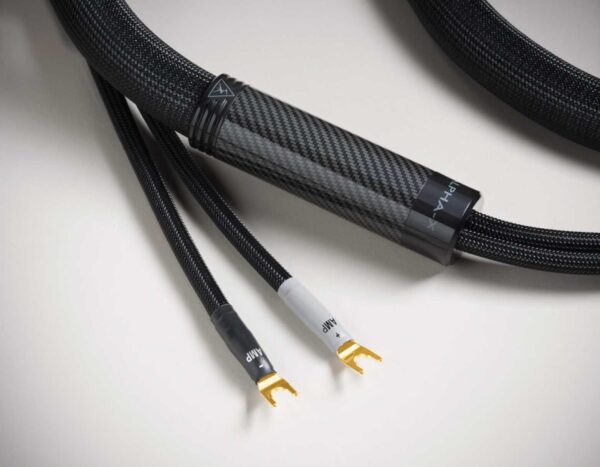 Shunyata Research Speaker Cable