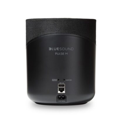 Bluesound Pulse M